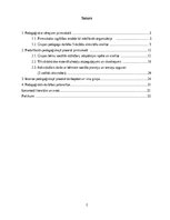 Отчёт по практике 'Agrīnā bērnības pedagoģiskā prakse', 2.