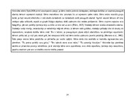 Отчёт по практике 'Agrīnā bērnības pedagoģiskā prakse', 24.