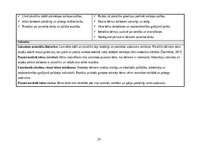 Отчёт по практике 'Agrīnā bērnības pedagoģiskā prakse', 29.