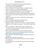 Отчёт по практике 'Agrīnā bērnības pedagoģiskā prakse', 33.