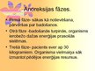Презентация 'Anoreksija', 10.