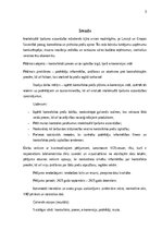 Реферат 'Kontrafakto preču izplatība e-komercijas vidē: ietekme uz Latvijas tautsaimniecī', 3.