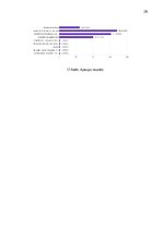 Реферат 'Kontrafakto preču izplatība e-komercijas vidē: ietekme uz Latvijas tautsaimniecī', 29.