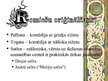 Презентация 'Seno romiešu literatūra', 5.