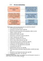 Реферат 'Praktikums starptautiskajās tiesībās', 5.