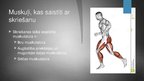 Презентация 'Svarīgākās muskuļu grupas iesildoties un atsildoties pēc skriešanas', 4.