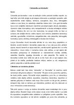 Реферат 'Celtniecība un būvdarbi', 1.