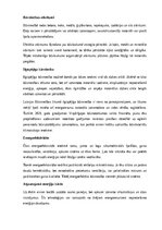 Реферат 'Celtniecība un būvdarbi', 16.
