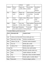Конспект 'Latviešu gadskārtu svētku atspoguļojums folklorā', 16.
