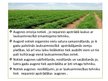 Презентация 'Lauksaimniecības mehanizācija un ar to saistītās ekoloģiskās problēmas', 10.