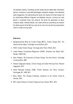 Эссе 'Climate Change: Challenges, Impacts, and Sustainable Solutions', 3.