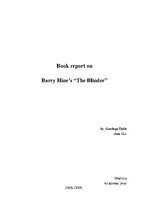 Конспект 'Book Report on Barry Hines "The Blinder"', 1.