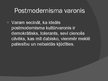 Презентация 'Vērtību mainība un relatīvisms postmodernismā', 12.