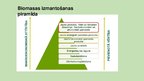 Презентация 'Biomasa', 5.
