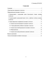 Отчёт по практике 'Финансовый отчёт компании "Lattelecom"', 2.