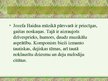 Презентация 'Jozefa Haidna biogrāfija', 6.
