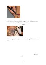 Реферат 'Tetovējumu ietekme uz cilvēku veselību', 30.