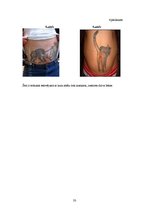 Реферат 'Tetovējumu ietekme uz cilvēku veselību', 33.