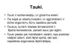 Презентация 'Esteri un tauki', 7.