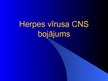 Презентация 'Herpes vīrusa CNS bojājums', 1.