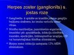 Презентация 'Herpes vīrusa CNS bojājums', 7.