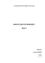 Реферат 'Protection of Property', 1.
