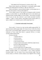 Реферат 'Eiropas Savienības regulu ietekme uz normatīvajiem aktiem Latvijā un Tukuma nova', 24.