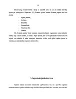 Отчёт по практике 'Kvalifikācijas prakse IK "Svitenes aptieka"', 13.