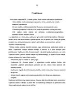 Отчёт по практике 'Kvalifikācijas prakse IK "Svitenes aptieka"', 36.