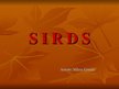 Презентация 'Sirds', 1.