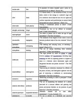 Конспект 'Glossary of Legal Terms', 16.