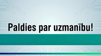 Презентация 'Kļūdas grāmatvedības uzskaitē un to labošana Latvijā', 13.