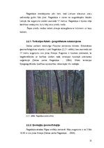 Дипломная 'Invazīvo augu sugu ierobežošana dabas parkā "Ragakāpa"', 22.