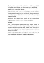 Эссе 'Sports un skolēnu sociālās prasmes: sadarbība, komunikācija un empātija', 2.