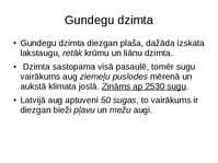 Презентация 'Gundegu dzimtas augi', 2.