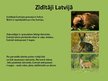 Презентация 'Zīdītāju sugu daudzveidības nozīme Latvijā', 4.