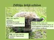 Презентация 'Zīdītāju sugu daudzveidības nozīme Latvijā', 6.