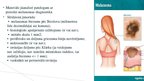 Презентация 'Melanomas biopsija, pataloģija', 13.