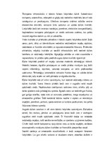 Эссе 'Dzīve lielpilsētā: Iespējas, izaicinājumi un sociālā dinamika', 2.