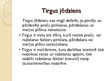 Презентация 'Tirgus jēdziens, formas un tipi', 4.