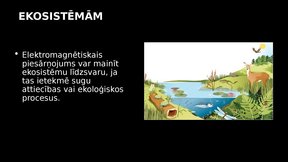 Презентация 'Elektromagnētiskais piesārņojums un tā ietekme uz kokaugiem', 13.