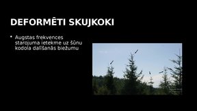 Презентация 'Elektromagnētiskais piesārņojums un tā ietekme uz kokaugiem', 18.