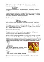 Реферат 'Antioksidanti un pārtika', 4.