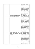 Отчёт по практике 'Vērošanas prakse pirmsskolas izglītības iestādē', 17.