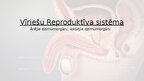 Презентация 'Reproduktīvā sistēma', 16.