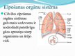 Презентация 'Plaušu dzīvības tipums', 6.