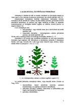 Реферат 'Allelopātija - svarīgs augu attīstību ietekmējošs mehānisms', 3.