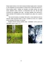 Реферат 'Baldones meža biotopi - pirmatnējās dabas daudzveidība un nozīme', 26.