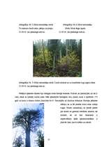 Реферат 'Baldones meža biotopi - pirmatnējās dabas daudzveidība un nozīme', 27.