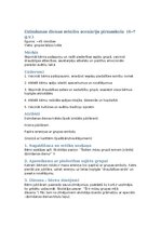 Конспект 'Dzimšanas dienas svinību scenārijs pirmsskola  (6–7 g.v.)', 1.